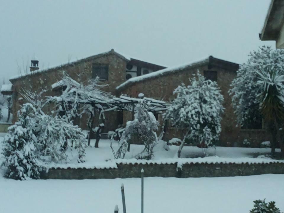 Agriturismo Pingitore Luzzi Exteriör bild